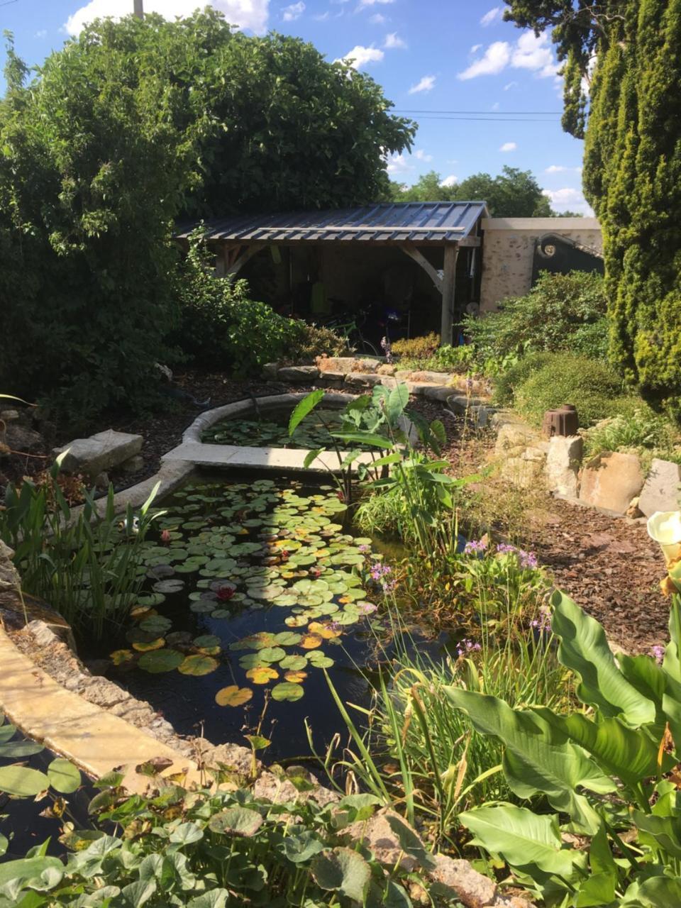 Maison D'Hotes Les Rainettes Breuillet  Exteriér fotografie